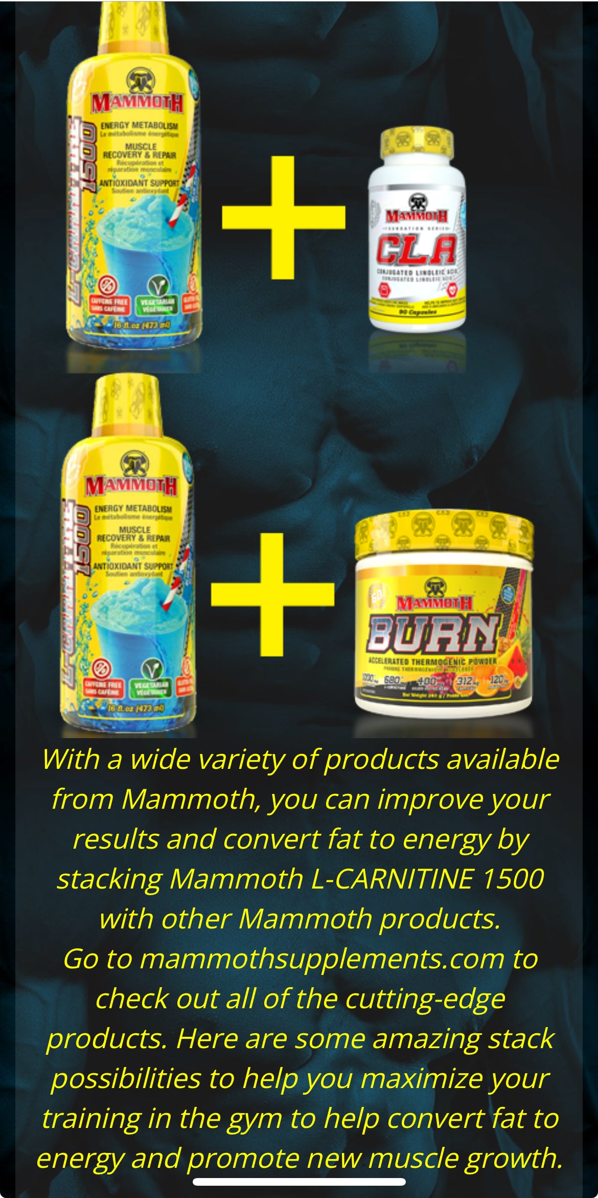 Mammoth L-Carnitine 473ml