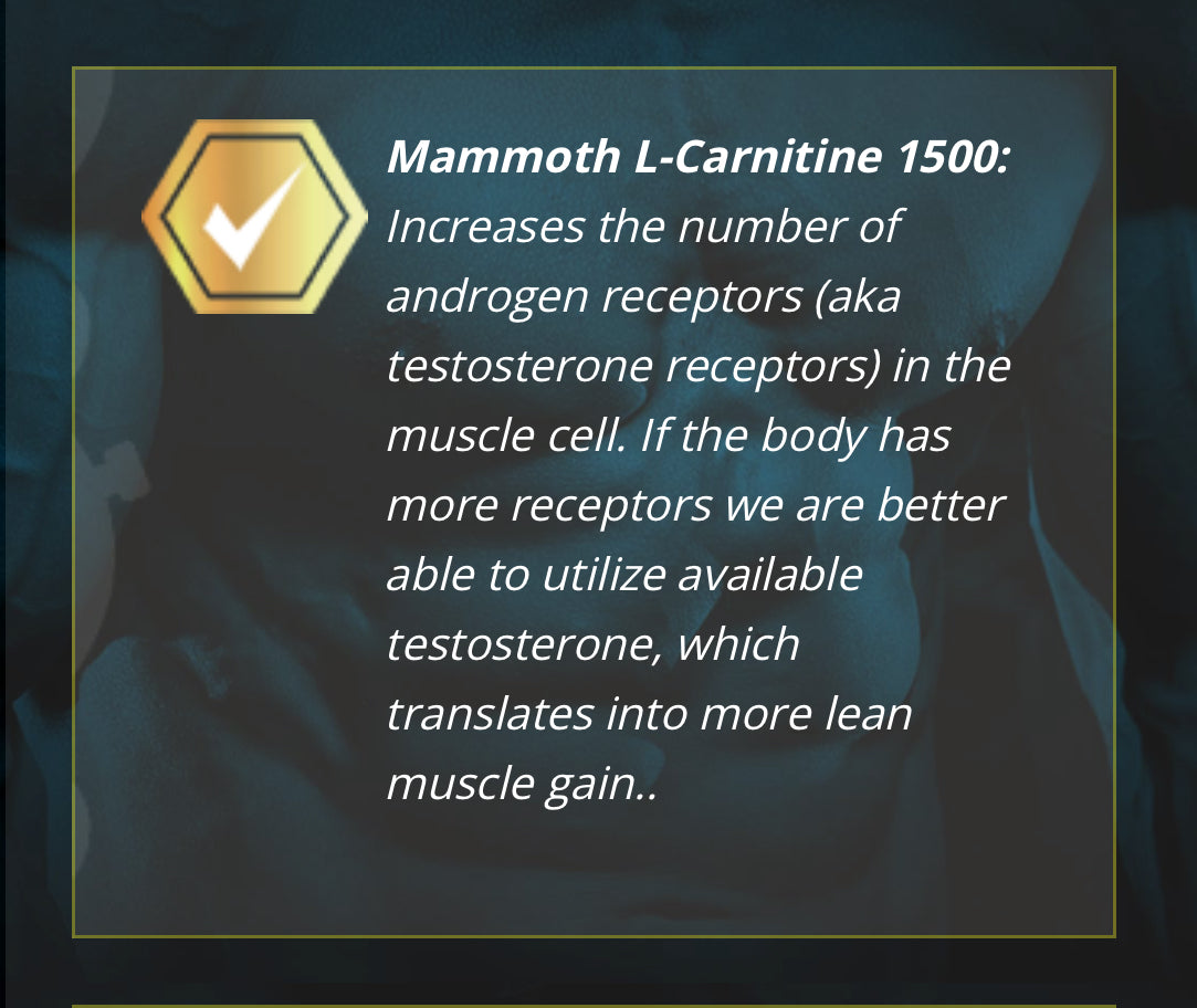 Mammoth L-Carnitine 473ml