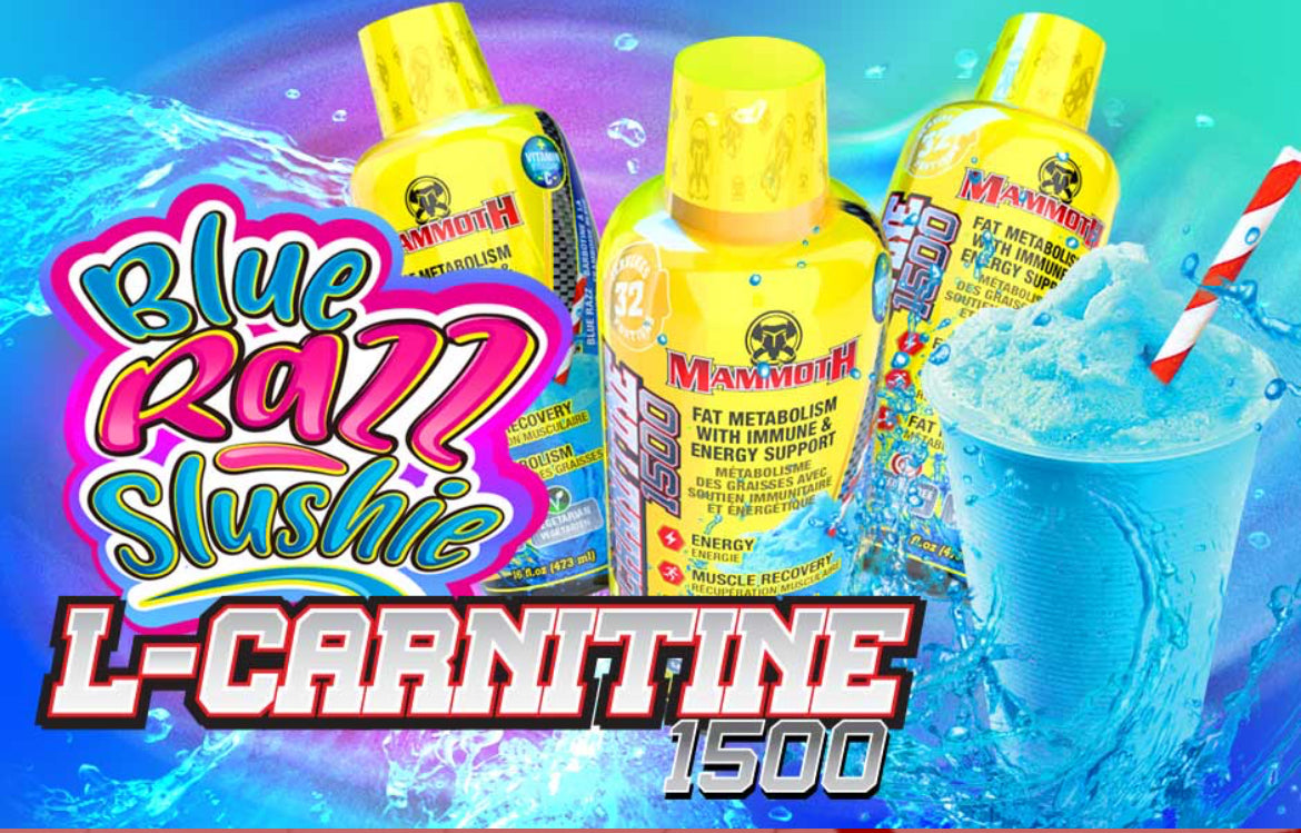 Mammoth L-Carnitine 473ml