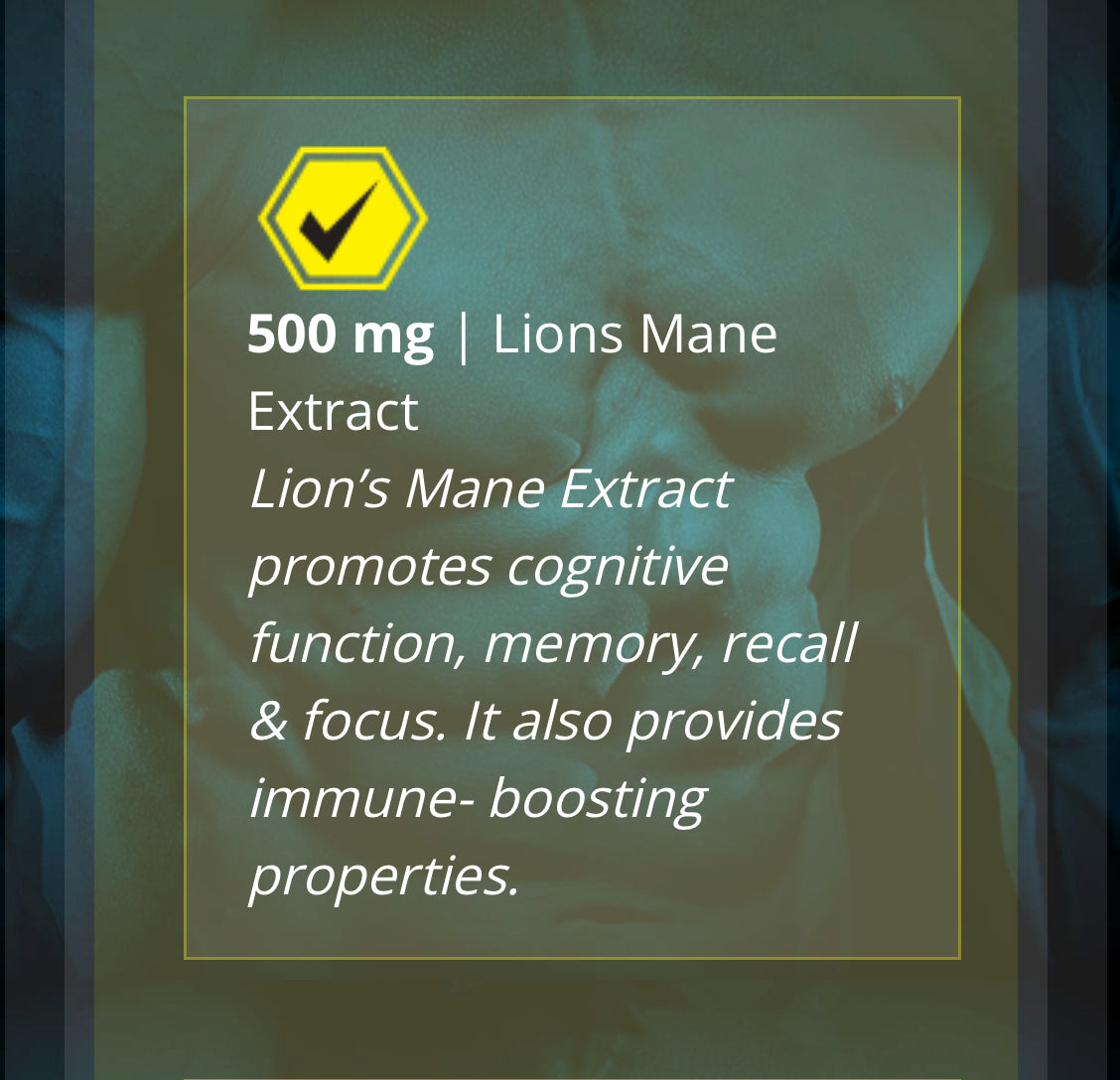Mammoth Shock - 3 Flavors