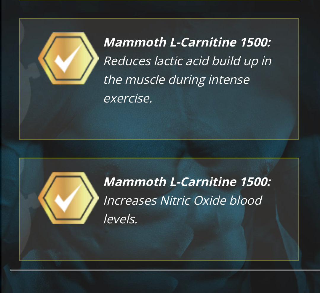 Mammoth L-Carnitine - Blue Razz Slushie