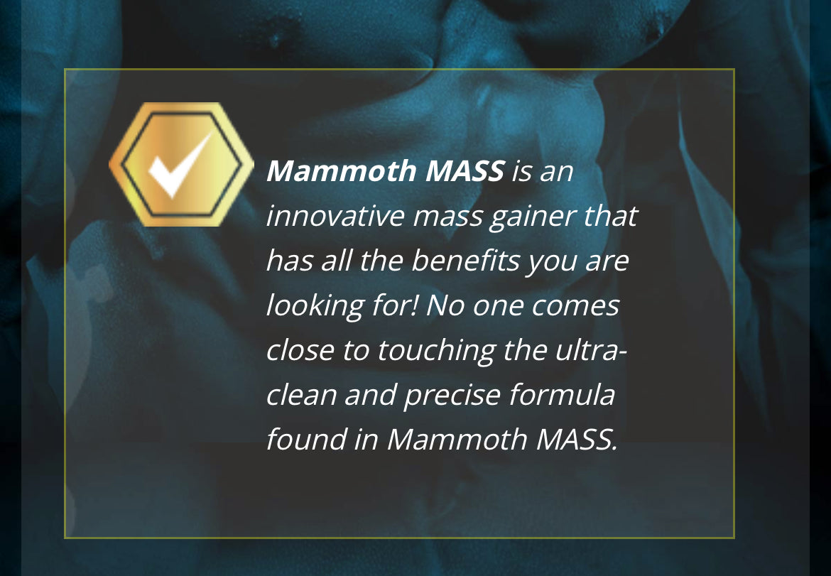 Mammoth Mass 5lbs - Cookies & Cream