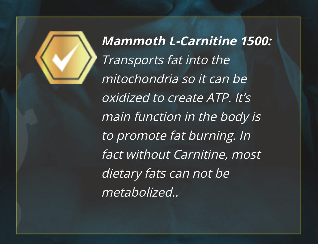 Mammoth L-Carnitine - Blue Razz Slushie