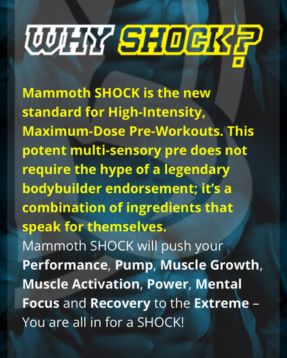 Mammoth Shock - 3 Flavors