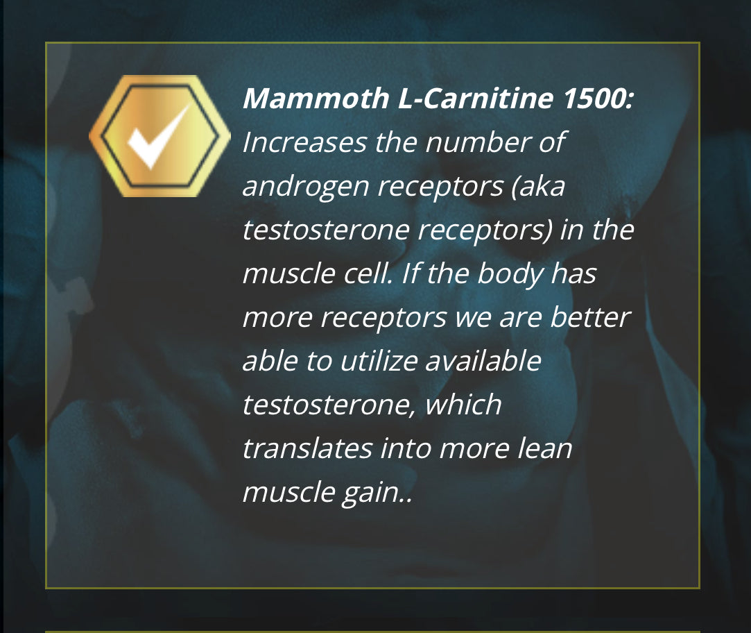 Mammoth L-Carnitine - Rainbow Candy