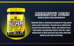 Mammoth BCAA - 540g - Superfruit 40 servings